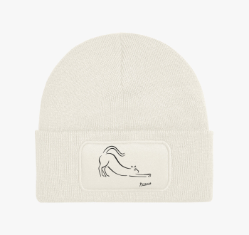 Picasso CAT téli sap