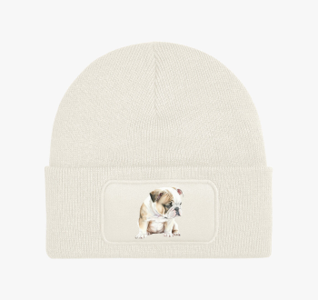 Angol bulldog téli s