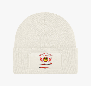 Patrouille Suisse pó