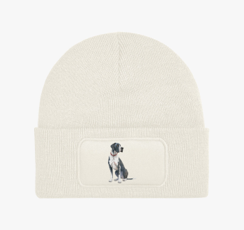 Dán dog téli sapka