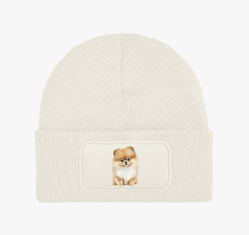 Pomerániai Spicc tél