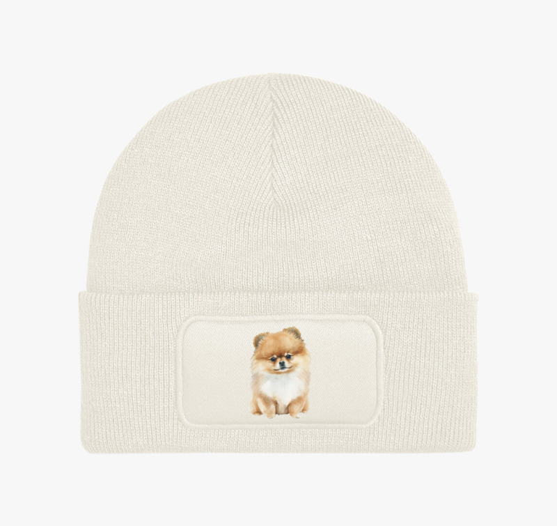 Pomerániai Spicc téli sapka