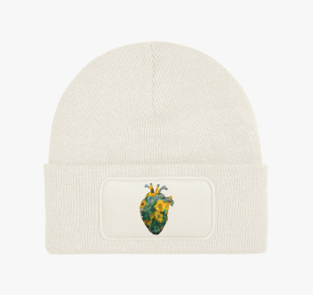 Monet anatomy heart ...