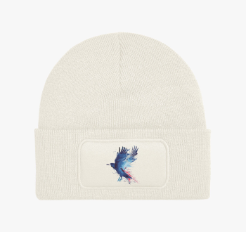 Splash crow téli sap