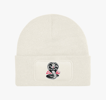 Cobra Kai sorozat té