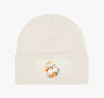 Hello fall pumpkin t