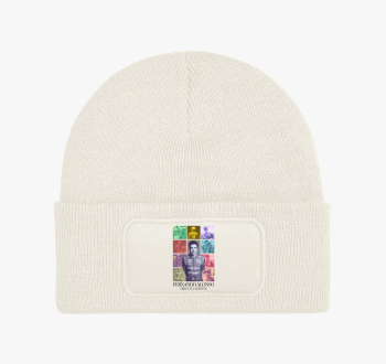 Fernando Alonso F1 t