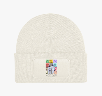 Alpha Tauri F1 téli 