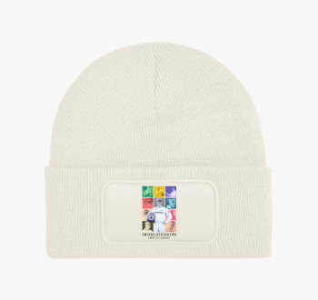 Mick Schumacher F1 t