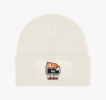 Low Battery téli sap