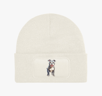 American Pitbull tél