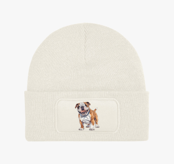 Mini bulldog téli sa