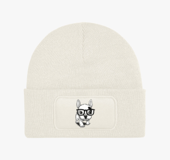 Frenchie puppy téli 