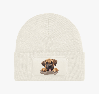 Kölyök masztiff téli