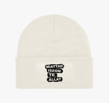 Miattad iszom te áll...