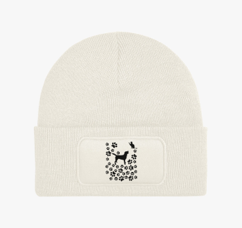 Kutya, cica barátság...