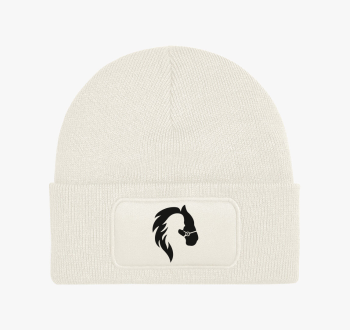 Lovas szerelem téli 