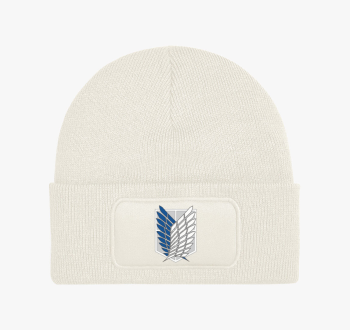 Attack on Titan anim...