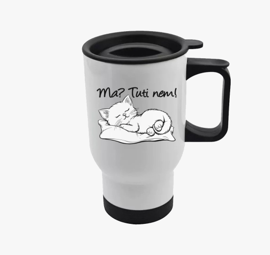 Ma? Tuti nem! cica párnán term...