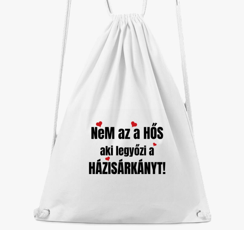Nem az a hős aki legyőzi a házisárkányt páros tornazsák
