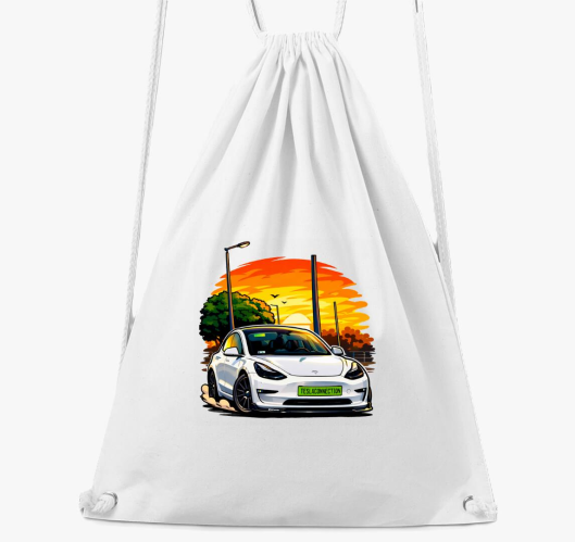 TeslaConnection Snowflake torn...