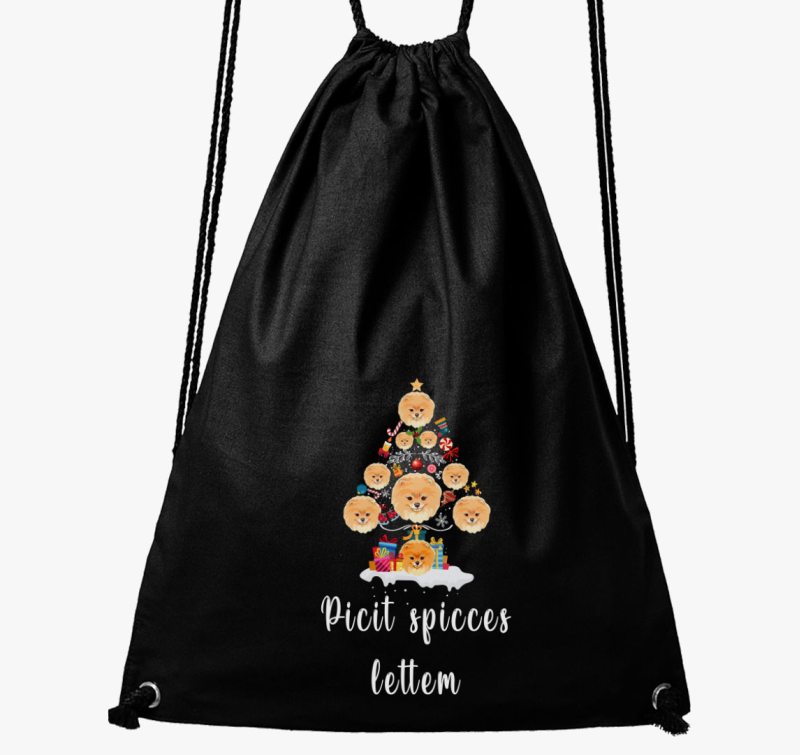 (Törpe)spicces karácsonyi tornazsák