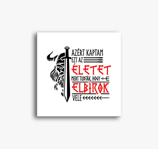 Viking élet vászonkép