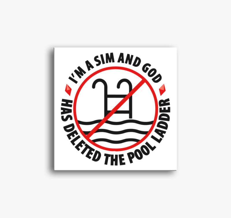 I'm a sim and god vászonkép