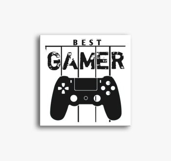 Best Gamer vászonkép