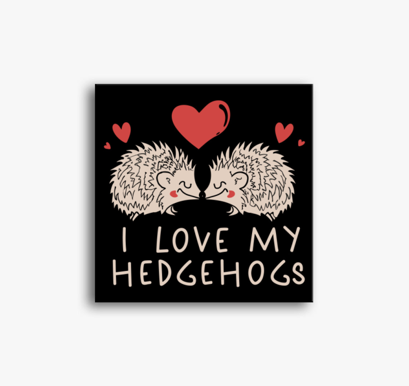 I love my hedgehogs vászonkép