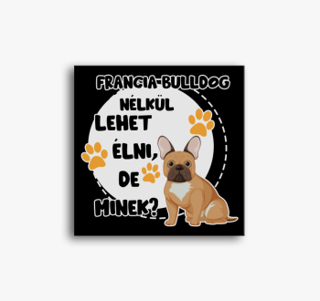 Francia bulldog nélk...