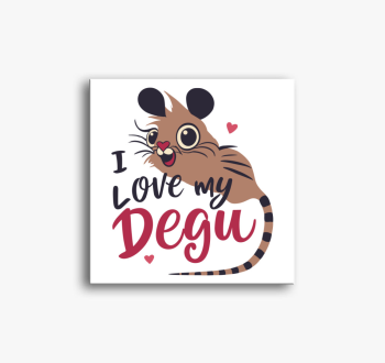 I love my degu vászo