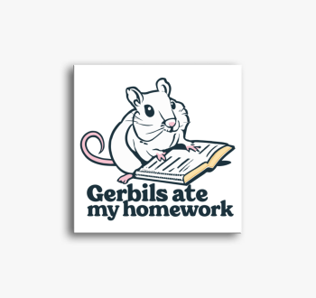 Gerbils homework vás