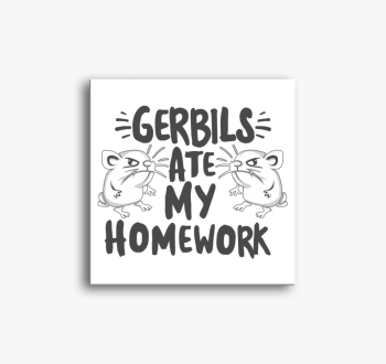Gerbils ate homework...