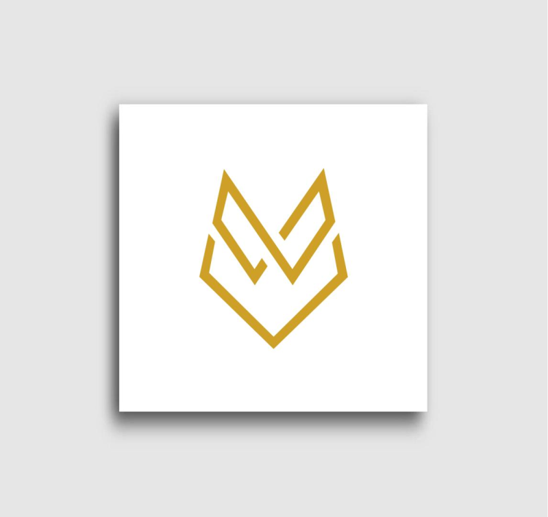 Farkas fej absztrakt divat vászonkép