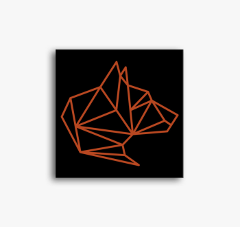 Farkas fejes poligon...