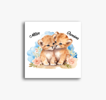 Összebújós szerelmes...