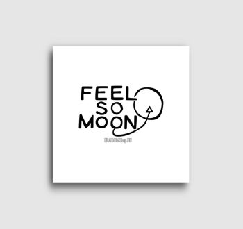Feel so Moon vászonkép