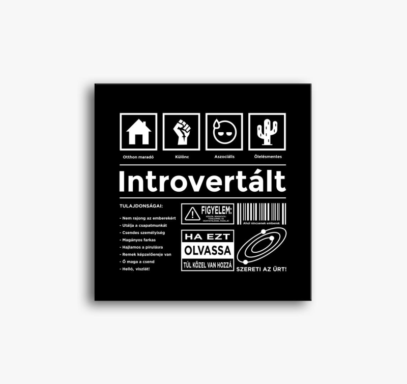 Introvertált vicces vászonkép