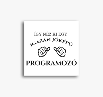 Jóképű programozó vá...