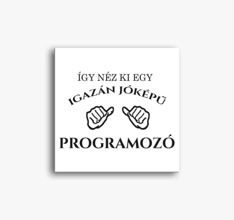 Jóképű programozó vászonkép 