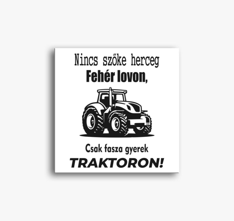 Nincs szőke herceg fehér lovon, csak fasza gyerek traktoron vászonkép