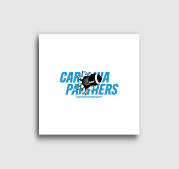 Carolina Panthers Magyar Szurkolói Oldal vászonkép