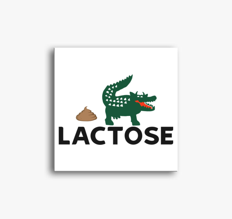 Vicces Lactose vászonkép
