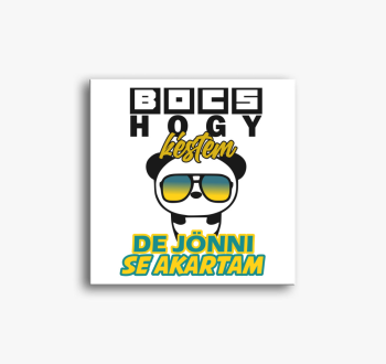 Bocs hogy késtem vás