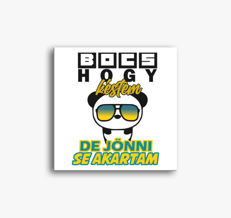 Bocs hogy késtem vászonkép
