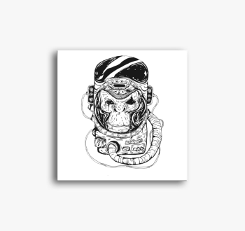 Space monkey vászonk