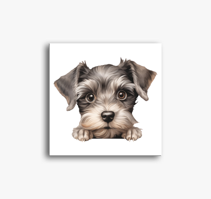 Pici Snaucer vászonkép