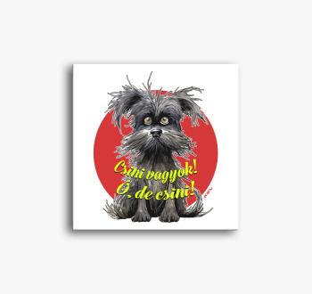 Pincsi kutya vászonk