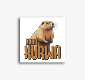 Bobr Kurwa vicces mé...